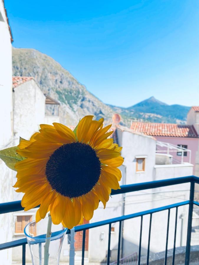 A Punta Terra Isnello Bed and Breakfast Esterno foto